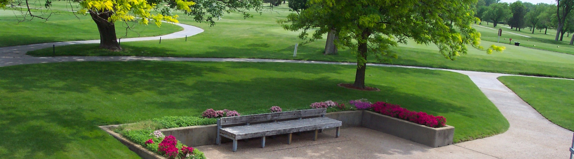 Bench at golf course surrounded by flowers 